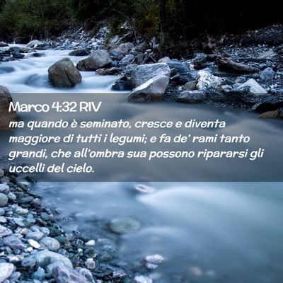 Picture 02 - Marco 4:32 RIV - ma quando è seminato, cresce e diventa maggiore - Bible Verse Picture