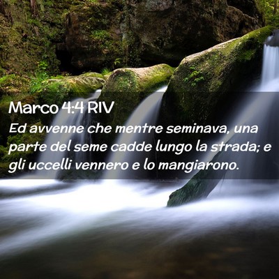 Picture 02 - Marco 4:4 RIV - Ed avvenne che mentre seminava, una parte del - Bible Verse Picture