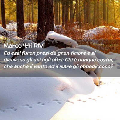 Picture 02 - Marco 4:41 RIV - Ed essi furon presi da gran timore e si dicevano - Bible Verse Picture
