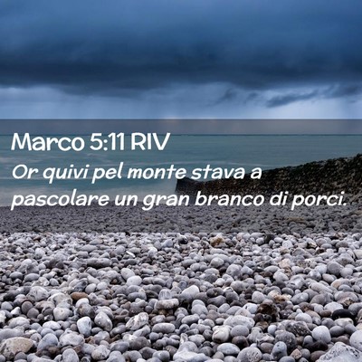 Picture 02 - Marco 5:11 RIV - Or quivi pel monte stava a pascolare un gran - Bible Verse Picture