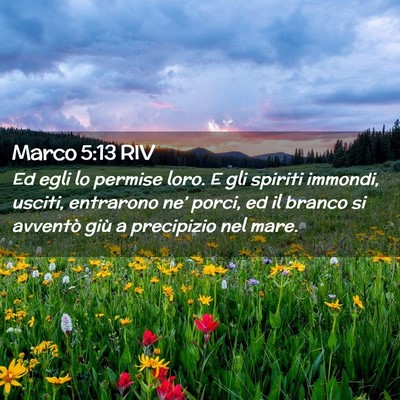 Picture 02 - Marco 5:13 RIV - Ed egli lo permise loro. E gli spiriti immondi, - Bible Verse Picture