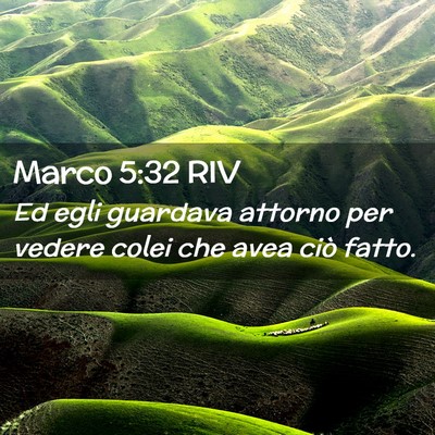 Picture 02 - Marco 5:32 RIV - Ed egli guardava attorno per vedere colei che - Bible Verse Picture