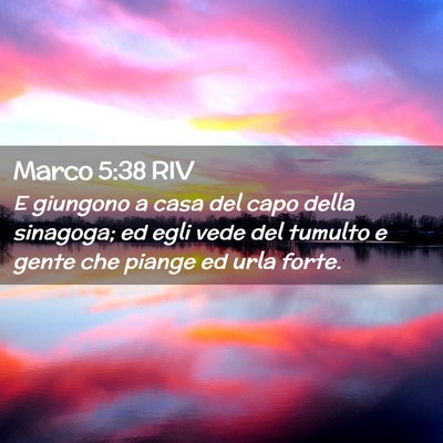 Picture 02 - Marco 5:38 RIV - E giungono a casa del capo della sinagoga; ed - Bible Verse Picture