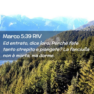 Picture 02 - Marco 5:39 RIV - Ed entrato, dice loro: Perché fate tanto - Bible Verse Picture
