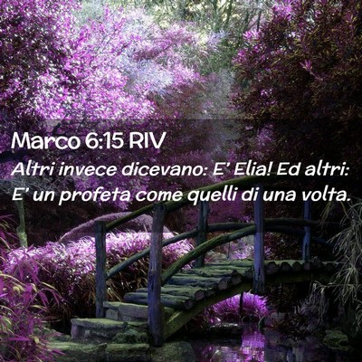 Picture 02 - Marco 6:15 RIV - Altri invece dicevano: E’ Elia! Ed altri: E’ - Bible Verse Picture