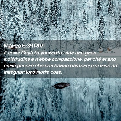Picture 02 - Marco 6:34 RIV - E come Gesù fu sbarcato, vide una gran - Bible Verse Picture