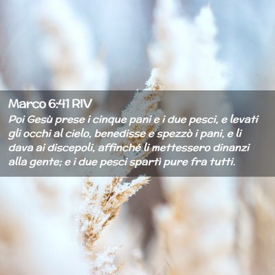 Picture 02 - Marco 6:41 RIV - Poi Gesù prese i cinque pani e i due pesci, e - Bible Verse Picture