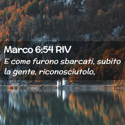 Picture 02 - Marco 6:54 RIV - E come furono sbarcati, subito la gente, - Bible Verse Picture
