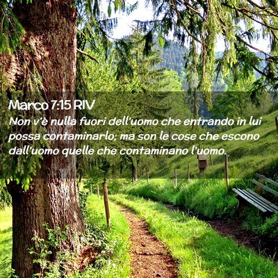 Picture 02 - Marco 7:15 RIV - Non v’è nulla fuori dell’uomo che entrando - Bible Verse Picture