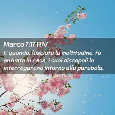 Picture 02 - Marco 7:17 RIV - E quando, lasciata la moltitudine, fu entrato in - Bible Verse Picture
