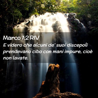 Picture 02 - Marco 7:2 RIV - E videro che alcuni de’ suoi discepoli - Bible Verse Picture