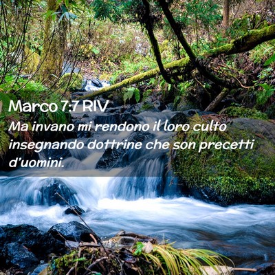 Picture 02 - Marco 7:7 RIV - Ma invano mi rendono il loro culto insegnando - Bible Verse Picture