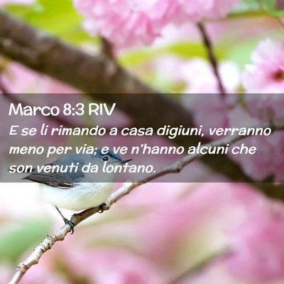 Picture 02 - Marco 8:3 RIV - E se li rimando a casa digiuni, verranno meno per - Bible Verse Picture