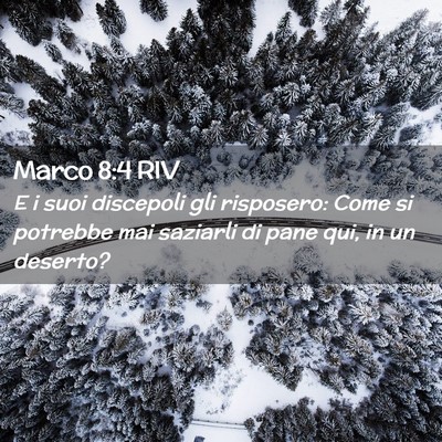 Picture 02 - Marco 8:4 RIV - E i suoi discepoli gli risposero: Come si - Bible Verse Picture