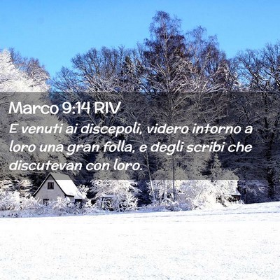 Picture 02 - Marco 9:14 RIV - E venuti ai discepoli, videro intorno a loro una - Bible Verse Picture