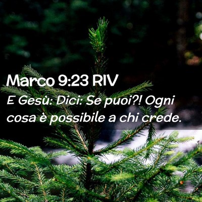 Picture 02 - Marco 9:23 RIV - E Gesù: Dici: Se puoi?! Ogni cosa è possibile a - Bible Verse Picture