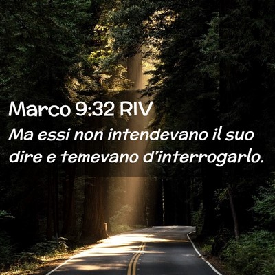 Picture 02 - Marco 9:32 RIV - Ma essi non intendevano il suo dire e temevano - Bible Verse Picture