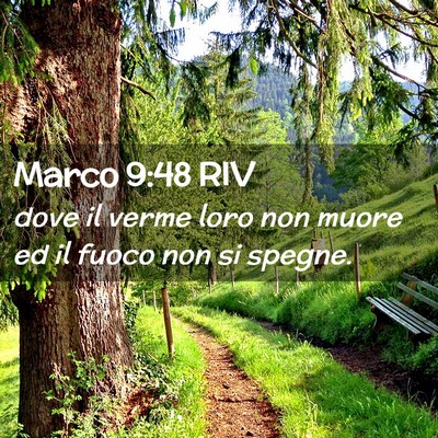 Picture 02 - Marco 9:48 RIV - dove il verme loro non muore ed il fuoco non si - Bible Verse Picture