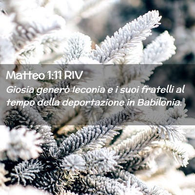 Picture 02 - Matteo 1:11 RIV - Giosia generò Ieconia e i suoi fratelli al tempo - Bible Verse Picture