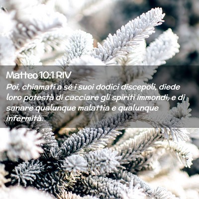 Picture 02 - Matteo 10:1 RIV - Poi, chiamati a sé i suoi dodici discepoli, - Bible Verse Picture