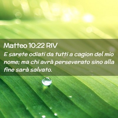 Picture 02 - Matteo 10:22 RIV - E sarete odiati da tutti a cagion del mio nome; - Bible Verse Picture