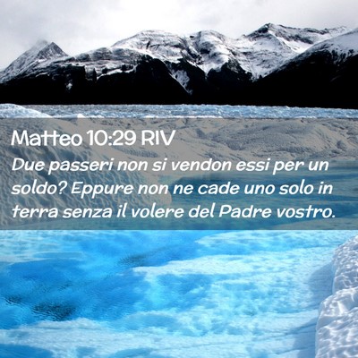 Picture 02 - Matteo 10:29 RIV - Due passeri non si vendon essi per un soldo? - Bible Verse Picture