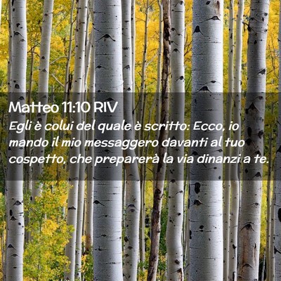 Picture 02 - Matteo 11:10 RIV - Egli è colui del quale è scritto: Ecco, io - Bible Verse Picture
