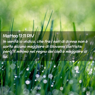 Picture 02 - Matteo 11:11 RIV - In verità io vi dico, che fra i nati di donna - Bible Verse Picture