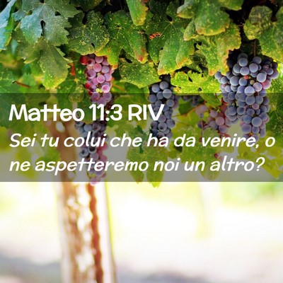 Picture 02 - Matteo 11:3 RIV - Sei tu colui che ha da venire, o ne aspetteremo - Bible Verse Picture