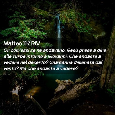 Picture 02 - Matteo 11:7 RIV - Or com’essi se ne andavano, Gesù prese a dire - Bible Verse Picture