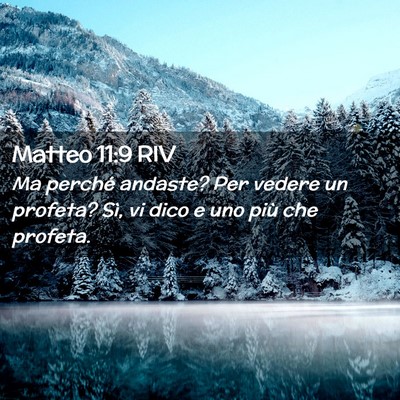 Picture 02 - Matteo 11:9 RIV - Ma perché andaste? Per vedere un profeta? Sì, - Bible Verse Picture