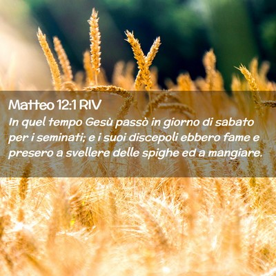 Picture 02 - Matteo 12:1 RIV - In quel tempo Gesù passò in giorno di sabato - Bible Verse Picture