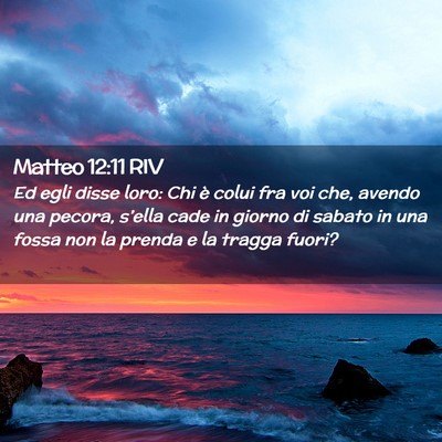 Picture 02 - Matteo 12:11 RIV - Ed egli disse loro: Chi è colui fra voi che, - Bible Verse Picture