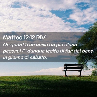 Picture 02 - Matteo 12:12 RIV - Or quant’è un uomo da più d’una pecora! - Bible Verse Picture