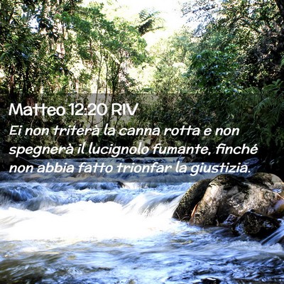 Picture 02 - Matteo 12:20 RIV - Ei non triterà la canna rotta e non spegnerà il - Bible Verse Picture