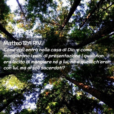 Picture 02 - Matteo 12:4 RIV - Come egli entrò nella casa di Dio, e come - Bible Verse Picture