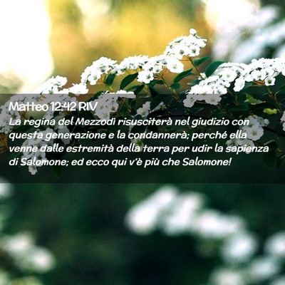 Picture 02 - Matteo 12:42 RIV - La regina del Mezzodì risusciterà nel giudizio - Bible Verse Picture