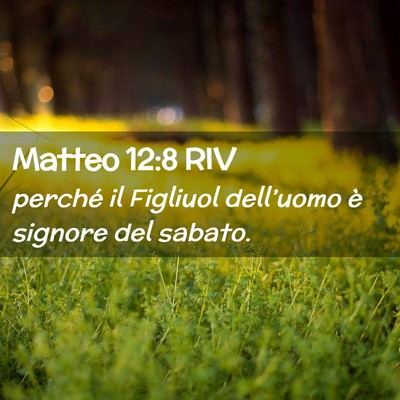 Picture 02 - Matteo 12:8 RIV - perché il Figliuol dell’uomo è signore del - Bible Verse Picture