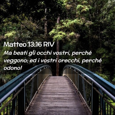 Picture 02 - Matteo 13:16 RIV - Ma beati gli occhi vostri, perché veggono; ed i - Bible Verse Picture