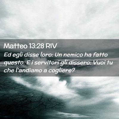 Picture 02 - Matteo 13:28 RIV - Ed egli disse loro: Un nemico ha fatto questo. E - Bible Verse Picture