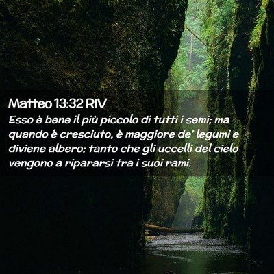 Picture 02 - Matteo 13:32 RIV - Esso è bene il più piccolo di tutti i semi; ma - Bible Verse Picture
