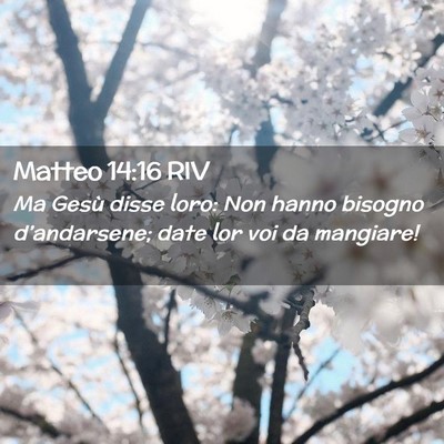 Picture 02 - Matteo 14:16 RIV - Ma Gesù disse loro: Non hanno bisogno - Bible Verse Picture