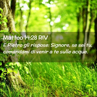 Picture 02 - Matteo 14:28 RIV - E Pietro gli rispose: Signore, se sei tu, - Bible Verse Picture