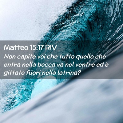 Picture 02 - Matteo 15:17 RIV - Non capite voi che tutto quello che entra nella - Bible Verse Picture