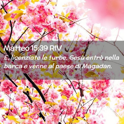 Picture 02 - Matteo 15:39 RIV - E, licenziate le turbe, Gesù entrò nella barca - Bible Verse Picture