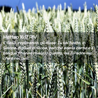 Picture 02 - Matteo 16:17 RIV - E Gesù, replicando, gli disse: Tu sei beato, o - Bible Verse Picture