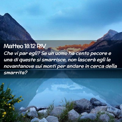 Picture 02 - Matteo 18:12 RIV - Che vi par egli? Se un uomo ha cento pecore e una - Bible Verse Picture