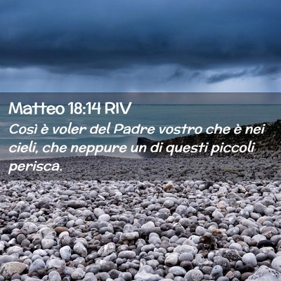 Picture 02 - Matteo 18:14 RIV - Così è voler del Padre vostro che è nei cieli, - Bible Verse Picture