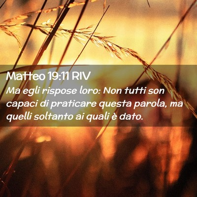 Picture 02 - Matteo 19:11 RIV - Ma egli rispose loro: Non tutti son capaci di - Bible Verse Picture