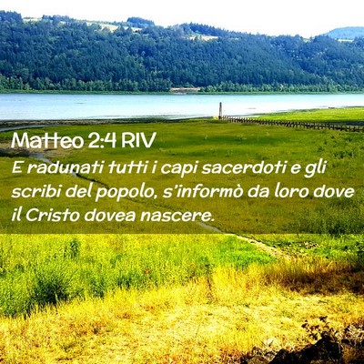 Picture 02 - Matteo 2:4 RIV - E radunati tutti i capi sacerdoti e gli scribi - Bible Verse Picture